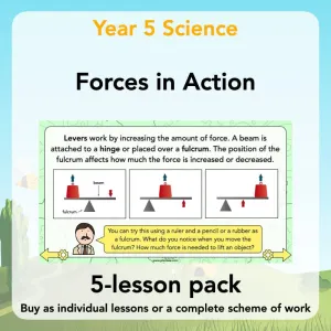 Forces In Action